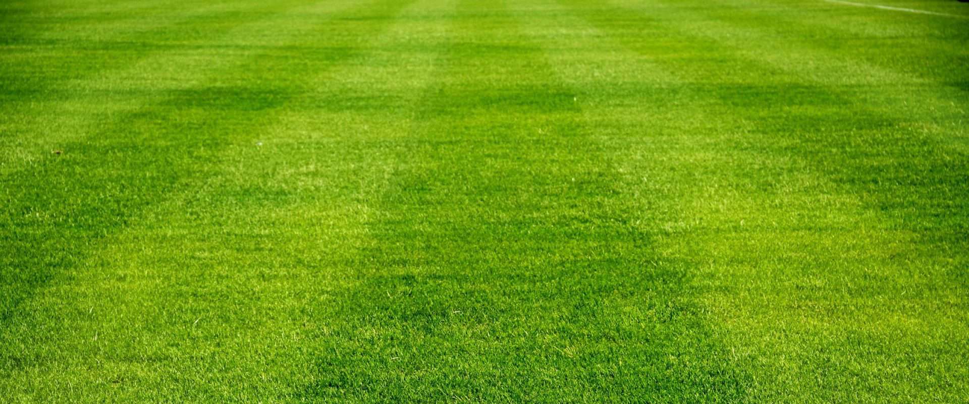 Core Aerating and Seeding Your Lawn